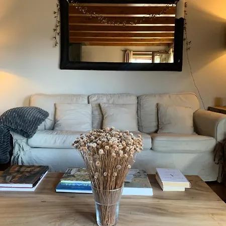 Holiday home Casa En Residential Con Jardin Y Piscina Estavar